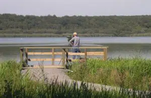 aquascope de Virelles