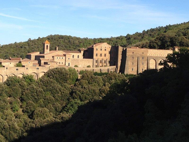 La verne dans le Var