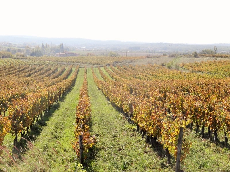 Ardèche : un certain art de vivre …