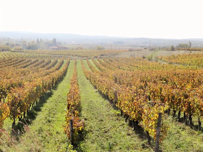 Ardèche : un certain art de vivre …