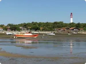 Cap Ferret