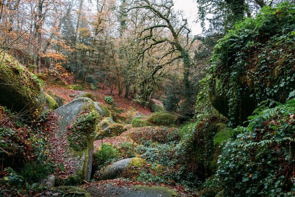 Balade dans la forêt du Huelgoat