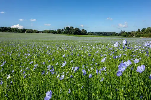 la véloroute du lin