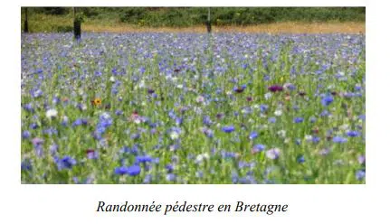 Bretagne - randonnée pedestre, Sud de la Bretagne