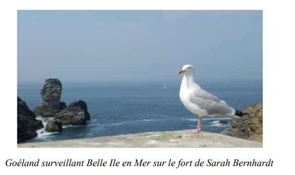 Fort de Sarah Bernhardt - Belle-île-en-mer, Sud de la Bretagne