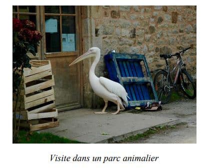 Parc animalier et botanique de Branféré, Sud de la Bretagne