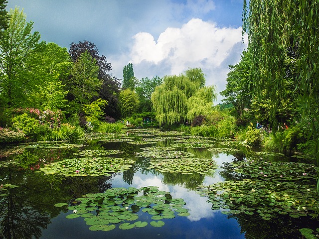 nenuphars monet paris