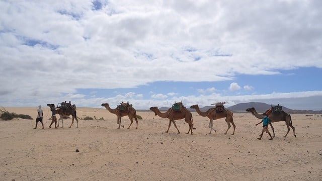 Parc Oasis Fuerteventura