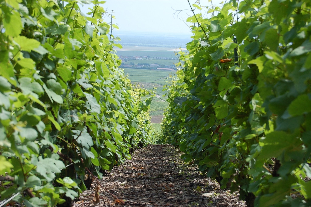 La route du champagne troyes