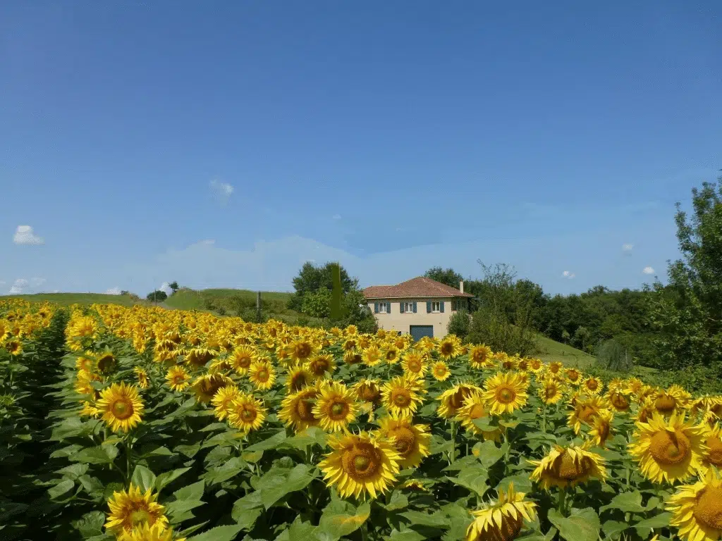 Escapades en plein air auch