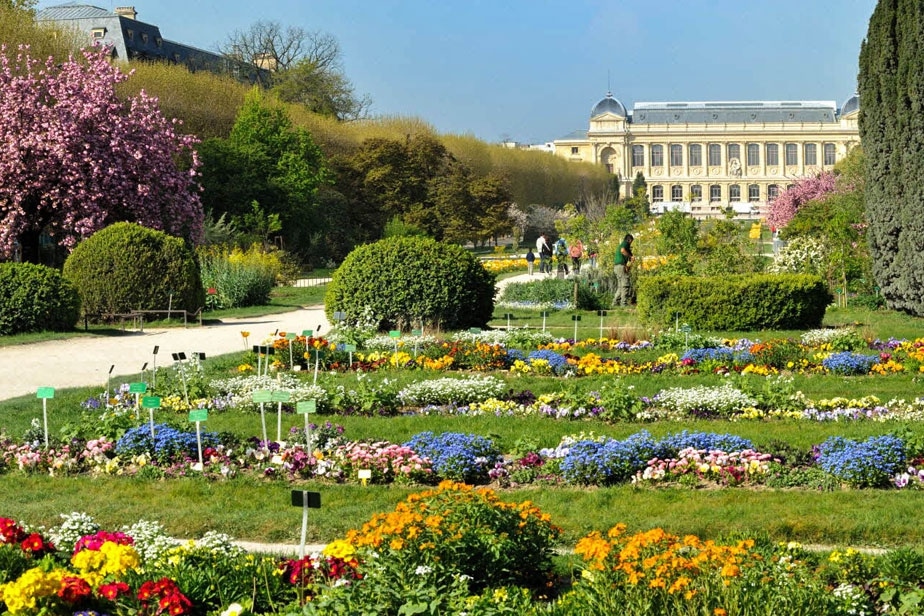 Le jardin des plantes 