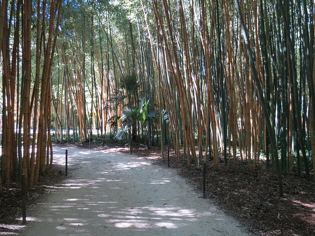 jardin Bambouseraie Anduze