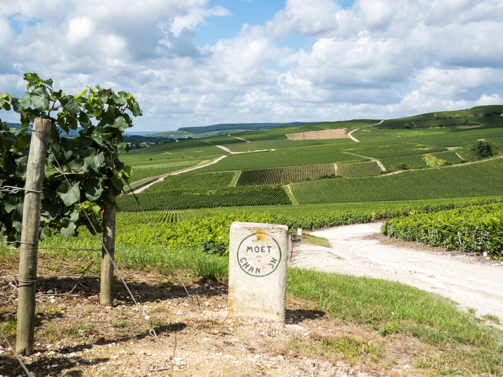 Paris : Limoges : Champagne-Ardenne : Route Touristique du Champagne