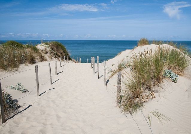 La plage de l'Espiguette