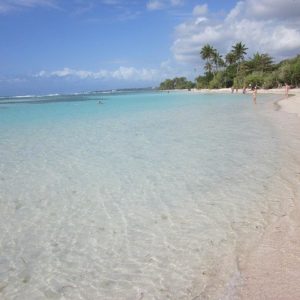 Les 15 meilleures visites à faire en Guadeloupe (en 2020)
