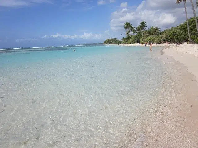 Les 15 meilleures visites à faire en Guadeloupe (en 2020)