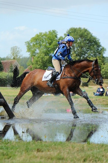 Haras National Tarbes