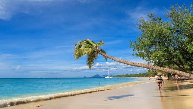 Les îles du vent