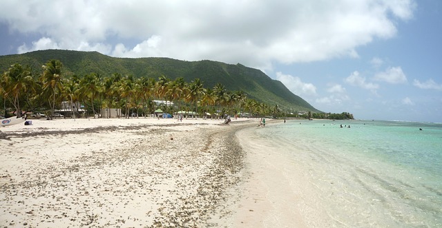 plages et des distilleries