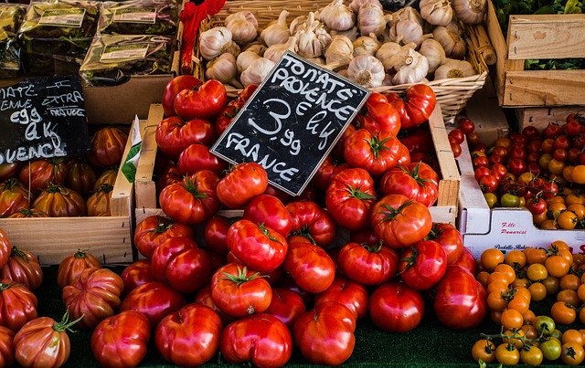 Activité à faire à Salon-de-Provence