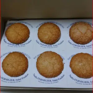 Courte et Simple Histoire du Macaron (stupéfiant)