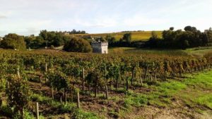 Saint Emilion : Visite Guidée (ne ratez rien d'essentiel)