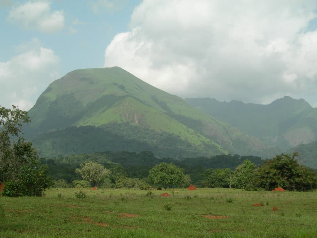 Côte d’Ivoire : Quelle est l’Importance du Tourisme 