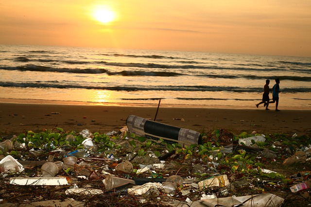 Quel est l’Impact du Tourisme sur l’Environnement ? (vraiment)