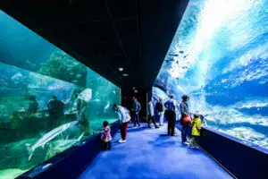 Top 25 Activités et Visites à Biarritz