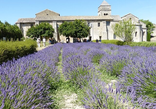 Saint Rémy de Provence : Top 15 Meilleures Activités et Visites à Faire (en ce moment)