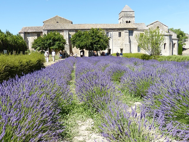 Saint Rémy de Provence : Top 15 Meilleures Activités et Visites à Faire (en ce moment)