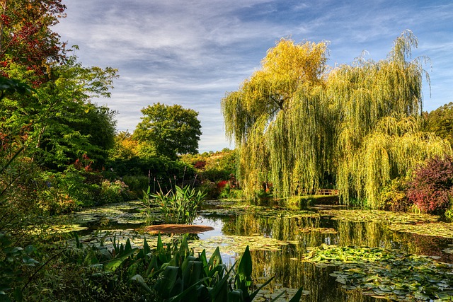 Giverny : Top 25 Meilleures Activités et Visites à Faire (en ce moment)