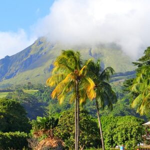 Martinique : Top 30 Meilleures Activités et Visites à Faire (en ce moment)