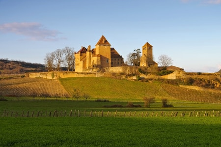 Oenotourisme et route des vins