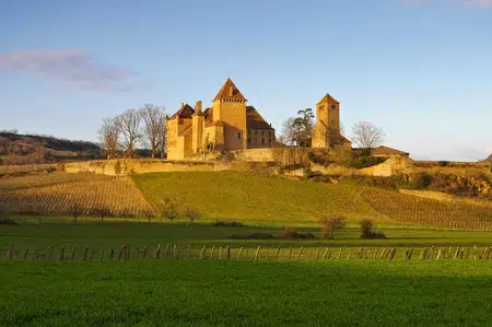 Oenotourisme et route des vins