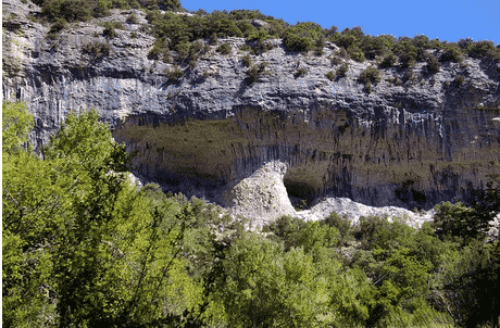 Les vautours de Rémuzat