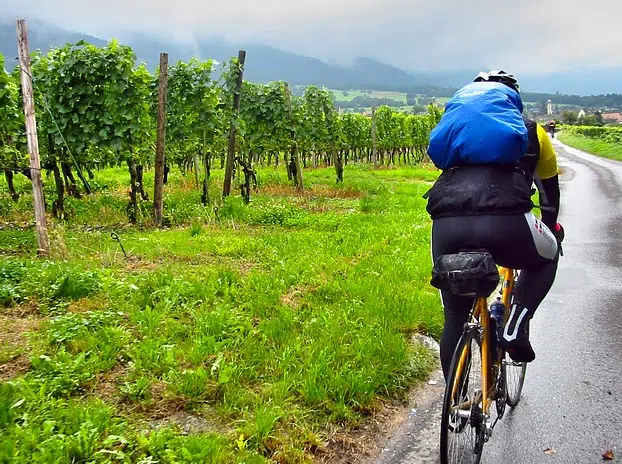Une balade en vélo électrique dans les vignes de tain de l’Hermitage