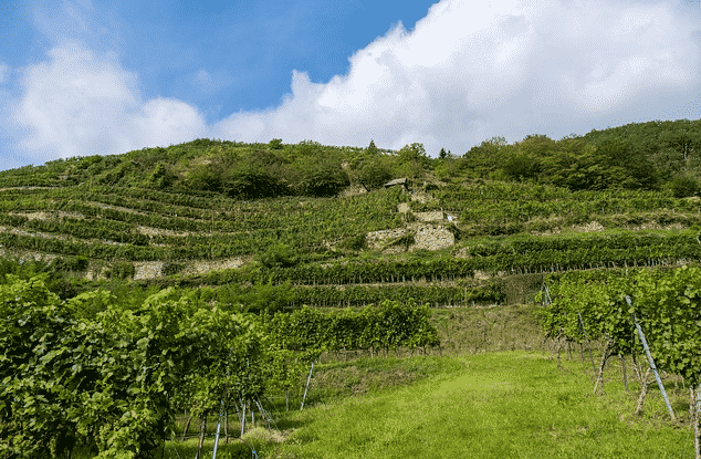 Une balade en vélo électrique dans les vignes de tain de l'hermitage