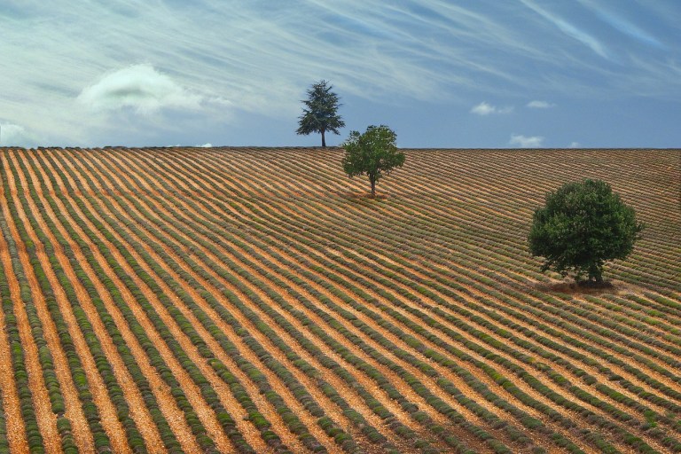 Drôme provençale
