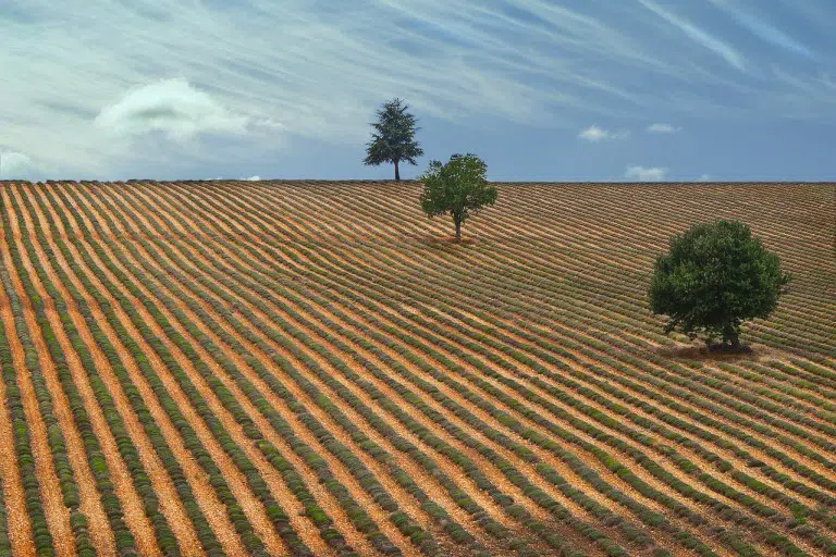 Drôme provençale