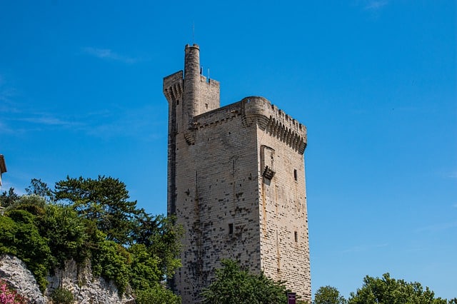 Villeneuve-lès-Avignon : Top 25 Meilleures Activités et Visites à Faire (en ce moment)