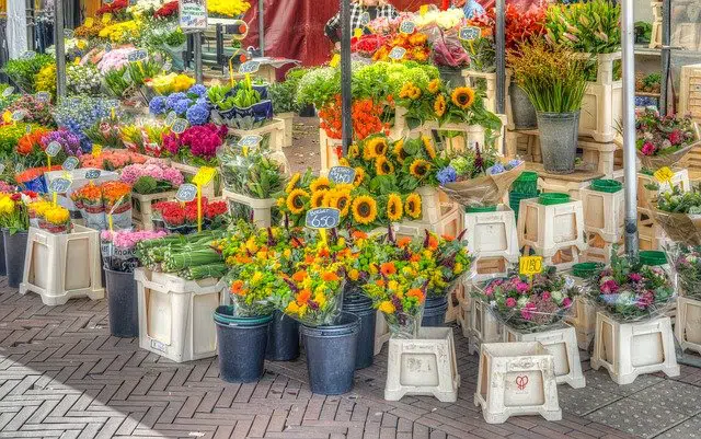 Tours : Top 25 Meilleures Activités et Visites à Faire (en ce moment)